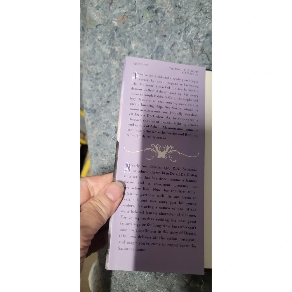 The Stowaway: Stone of Tymora, Book‎ I by R.A. Geno